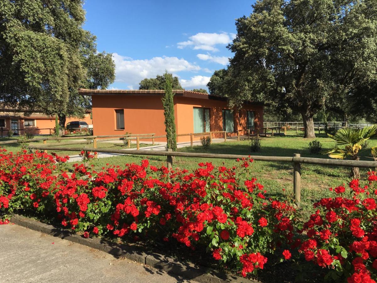 Finca Casaes Alojamientos Torralba de Oropesa Exterior foto